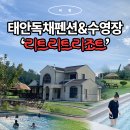 영수펜션 | 여기 태안 맞아!? 외국같은 수영장과 태안 독채펜션 추천 ft. 나는솔로31기 촬영지 '리트리트리조트'