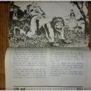 주식회사 사과나무 이미지