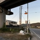 댕댕월드 | [대구 애견카페] 찰리와댕댕월드 방문후기