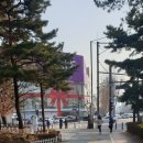 엘지베스트샵 건너편 이미지