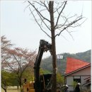 부경종합
