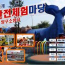 양구국민체육센터 이미지