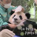 판다스튜디오 이미지