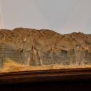 고성수석전시관 이미지