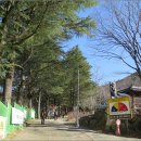 겨울왕국을 만들어준 대구 팔공산(2024.3.2) 이미지