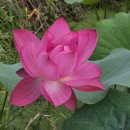 종산농장 이미지