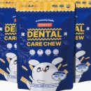 스마트덴탈 이미지