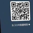 도그스타동물병원 | [도그스타동물병원] 수원동물병원 추천합니다~!!