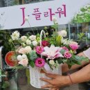 제이플라워 - 춘천시 우석로101번길 31 | 제이플라워