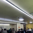 월척오리 이미지