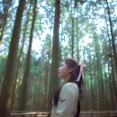채린 - 관악구 봉천로 230 | 채린