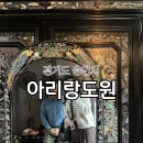 도원환경 | 용인 대형카페 / 용인핫플 포토존 많은 카페 아리랑도원 솔직후기