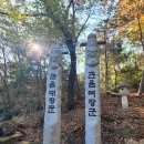 낙성대 3층석탑 | 108-011 관악산(冠岳山) 관음사(觀音寺),관악사(冠岳寺)[관악사지(冠岳寺址)], 연주암( 戀主庵 )