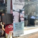 수진디자인 이미지