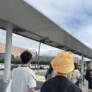 스타리그 | 일상] 인스파이어 아레나 2025 LCK 결승 롤 리그오브레전드 / 젠지우승 팬페스타 후면 208구역 직관후기