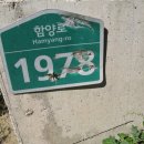함양로 이미지