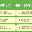 아산곡교천야영장 이미지