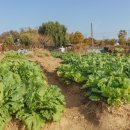 송파농장 이미지