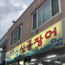 대왕곰장어