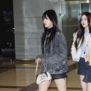 코코 이미지