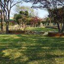 테마 애견 이미지