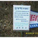 국일장 Daum카페