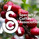 SCAA + SCAE == SCA 이미지