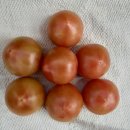 장수이용소 이미지