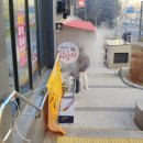 쏙만두&닭강정 | [구월동 닭강정]달달한 닭강정이 맛있는"쏙만두&닭강정"