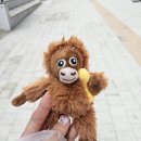다이진네일