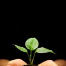 동막초등학교 이미지