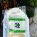 코오롱스포츠솟솟618