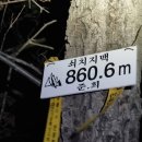 금강송체험야영장 이미지