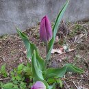 병태농장 이미지