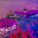 하늘다리펜션 이미지