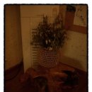 그리미 별장 이미지