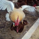 호텔포스 이미지