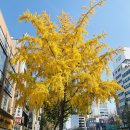 화성시 역사박물관 강당 | [청계천박물관] 기획전 &#39;서울 책방거리&#39; 전시연계교육강좌 후기