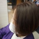 하다헤어구월
