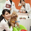 디비에스 주식회사 이미지