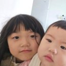 세자매축산