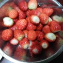 오늘 과일 이미지