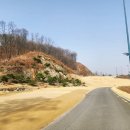 세레니티골프앤리조트 이미지