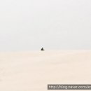 칼즈배드 이미지