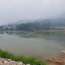 돌성저수지낚시터 이미지