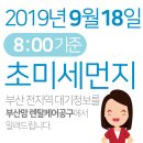 2019년 9월18일(수요일) 오전8:00 기준 부산전지역 초미세먼지 및 일일/주간 날씨정보 이미지