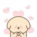 멍블랑 반려견미용실 이미지