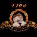 뜻밖의즐거움 이미지