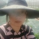 슬기농장 이미지