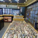 벧엘애견 이미지